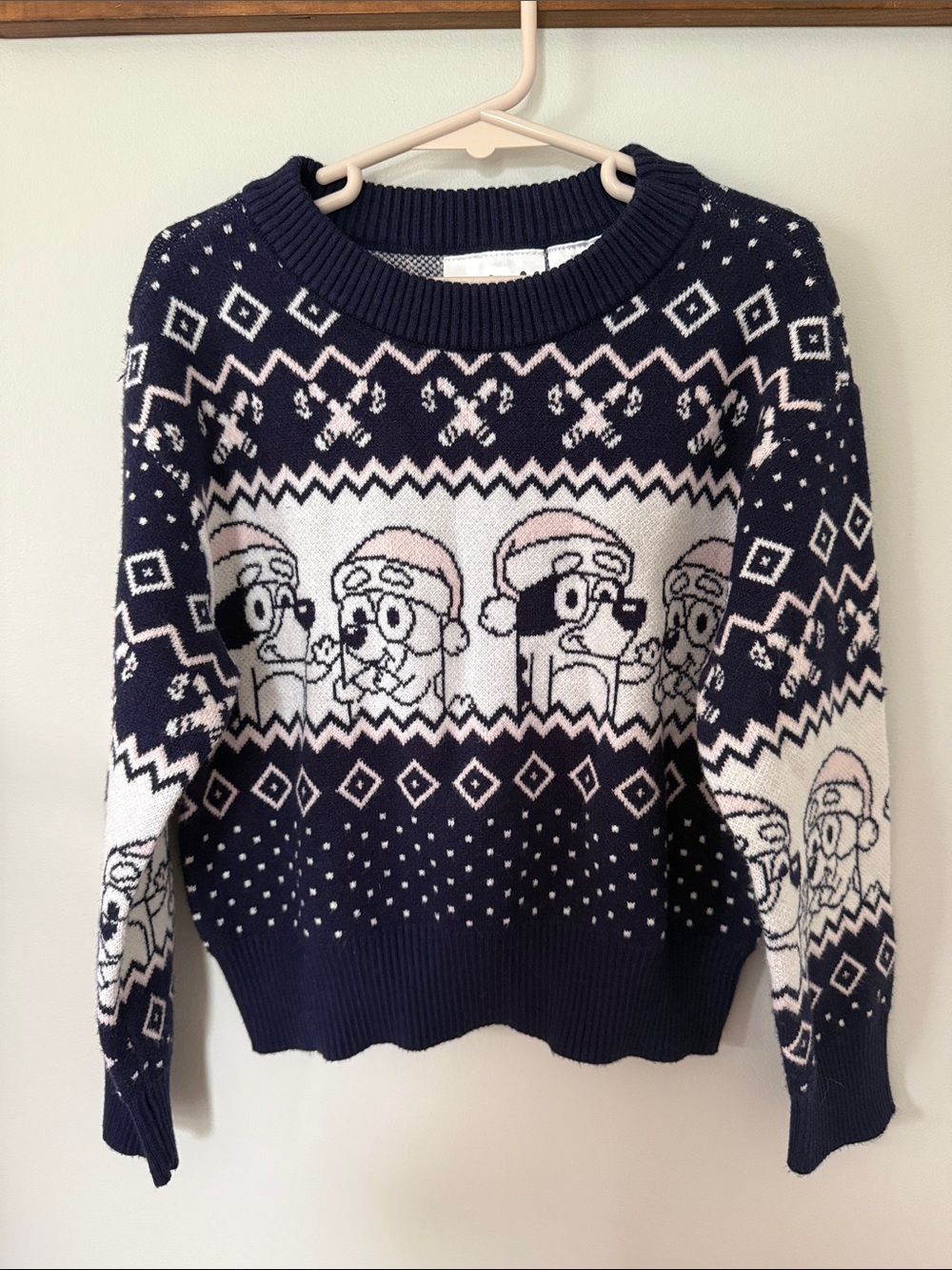 Kids Navy Patterned Holiday Sweater with Character Bluey